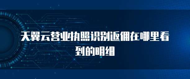 天翼云营业执照识别返佣在哪里看到的明细