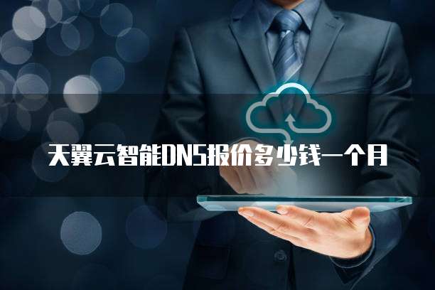 天翼云智能DNS报价多少钱一个月