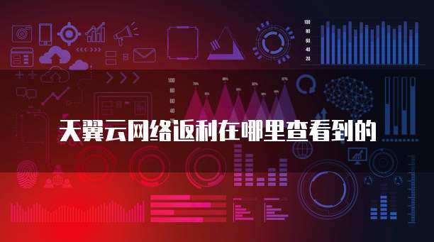 天翼云网络返利在哪里查看到的