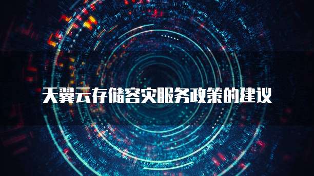 天翼云存储容灾服务政策的建议