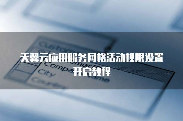 天翼云应用服务网格活动权限设置开启教程