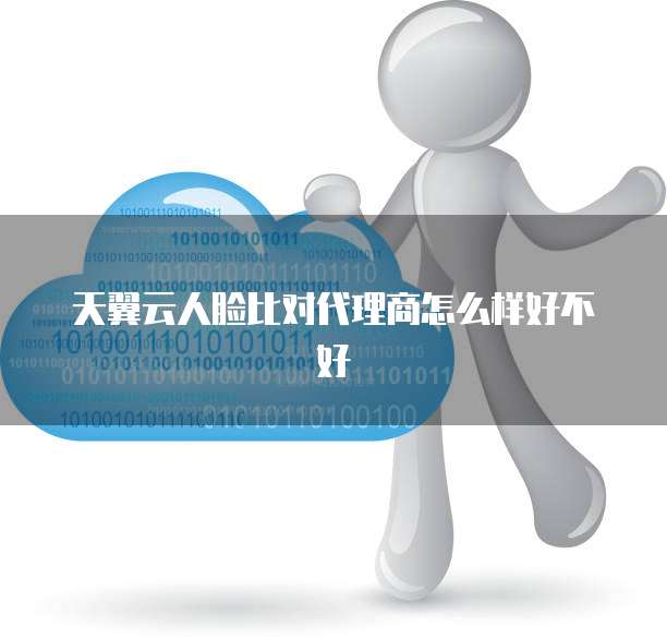 天翼云人脸比对代理商怎么样好不好