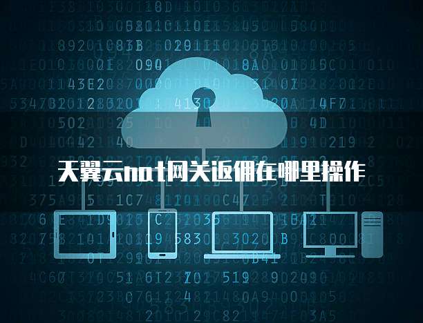 天翼云nat网关返佣在哪里操作