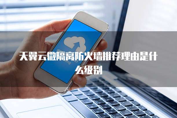天翼云微隔离防火墙推荐理由是什么级别
