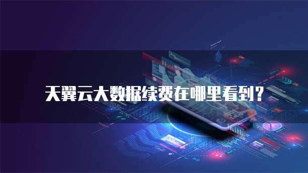 天翼云大数据续费在哪里看到?