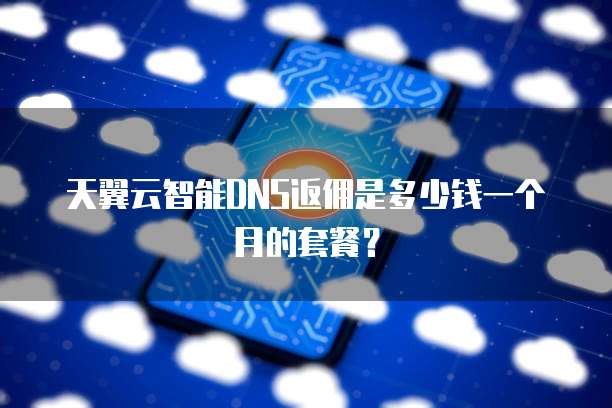 天翼云智能DNS返佣是多少钱一个月的套餐?