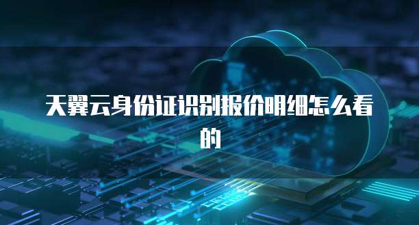 天翼云身份证识别报价明细怎么看的