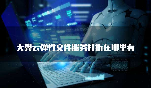 天翼云弹性文件服务打折在哪里看