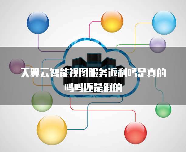 天翼云智能视图服务返利吗是真的吗吗还是假的