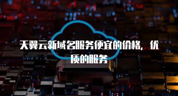 天翼云新域名服务便宜的价格,优质的服务