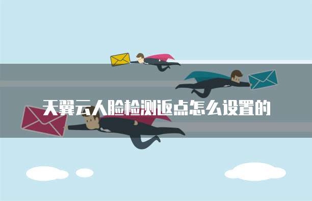 天翼云人脸检测返点怎么设置的