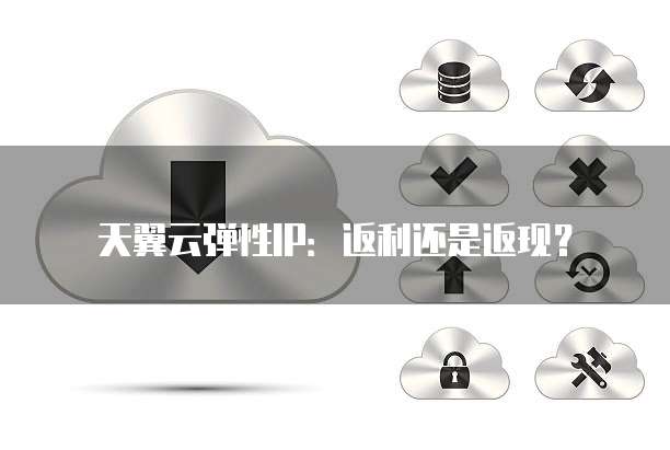 天翼云弹性IP:返利还是返现?