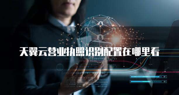 天翼云营业执照识别配置在哪里看