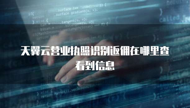 天翼云营业执照识别返佣在哪里查看到信息