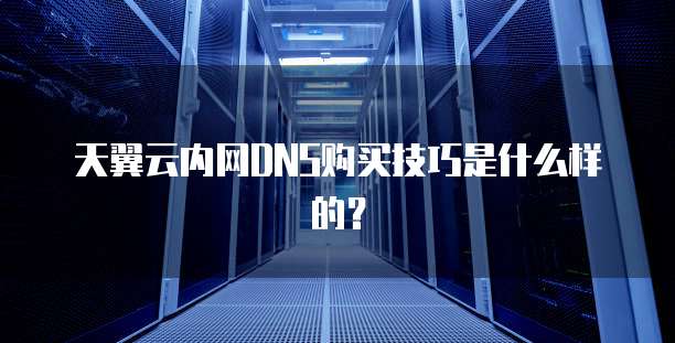 天翼云内网DNS购买技巧是什么样的?