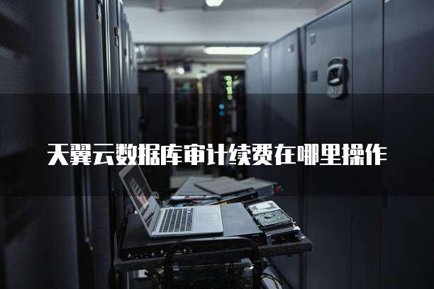 天翼云数据库审计续费在哪里操作