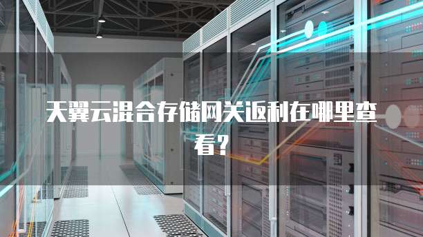 天翼云混合存储网关返利在哪里查看?