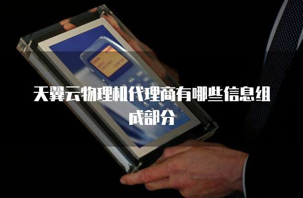 天翼云物理机代理商有哪些信息组成部分