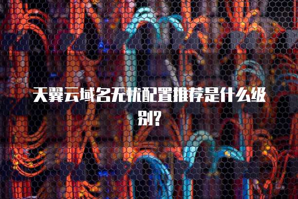 天翼云域名无忧配置推荐是什么级别?
