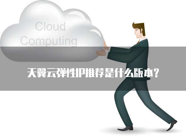 天翼云弹性IP推荐是什么版本?
