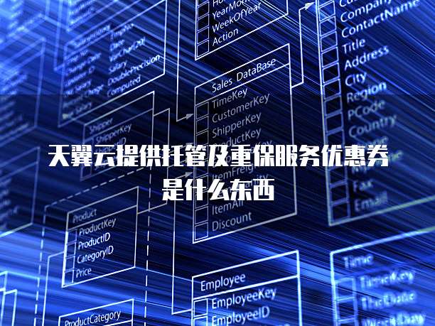 天翼云提供托管及重保服务优惠券是什么东西