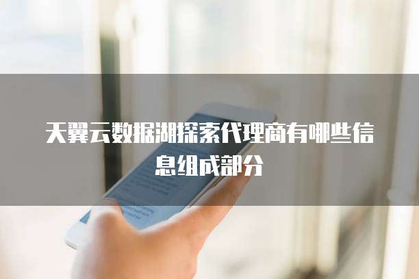 天翼云数据湖探索代理商有哪些信息组成部分