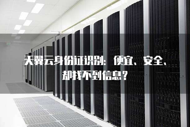 天翼云身份证识别:便宜、安全、却找不到信息?