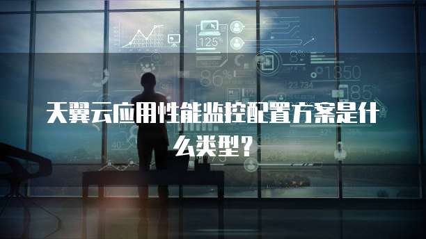 天翼云应用性能监控配置方案是什么类型?