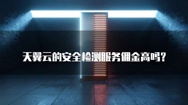 天翼云的安全检测服务佣金高吗？

