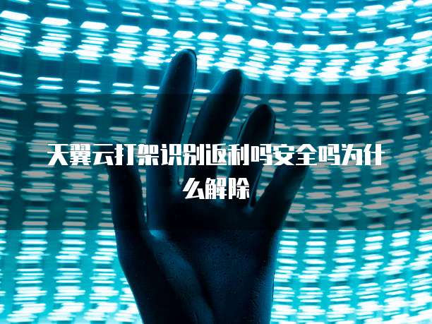天翼云打架识别返利吗安全吗为什么解除