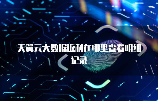 天翼云大数据返利在哪里查看明细记录