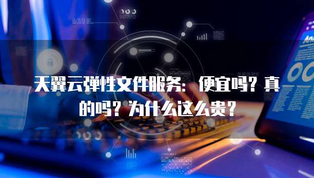 天翼云弹性文件服务:便宜吗?真的吗?为什么这么贵?