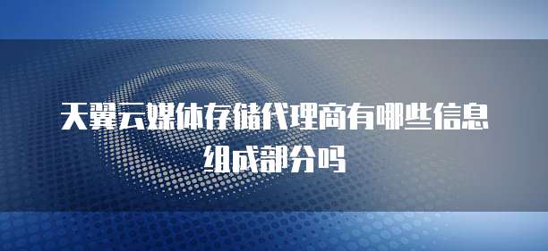 天翼云媒体存储代理商有哪些信息组成部分吗