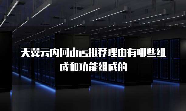 天翼云内网dns推荐理由有哪些组成和功能组成的