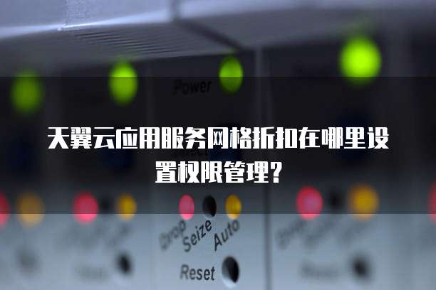 天翼云应用服务网格折扣在哪里设置权限管理?