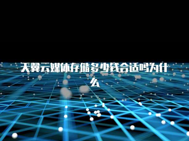 天翼云媒体存储多少钱合适吗为什么