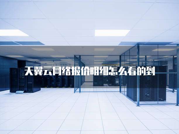 天翼云网络报价明细怎么看的到