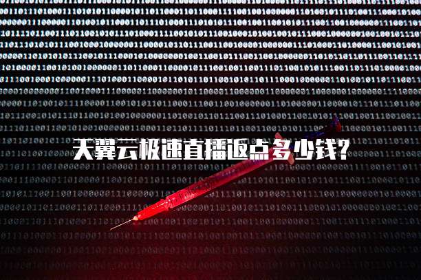 天翼云极速直播返点多少钱?