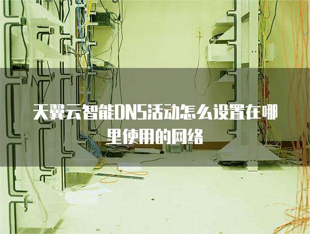 天翼云智能DNS活动怎么设置在哪里使用的网络