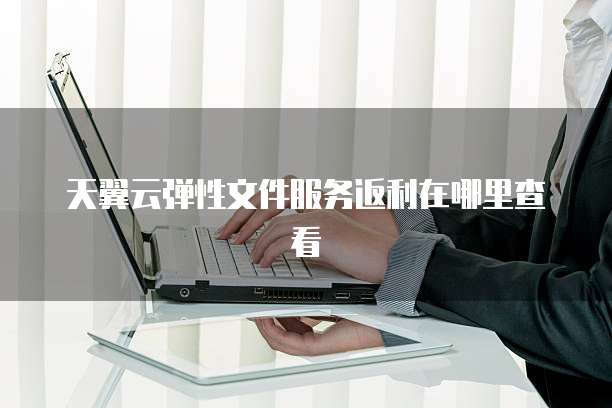 天翼云弹性文件服务返利在哪里查看