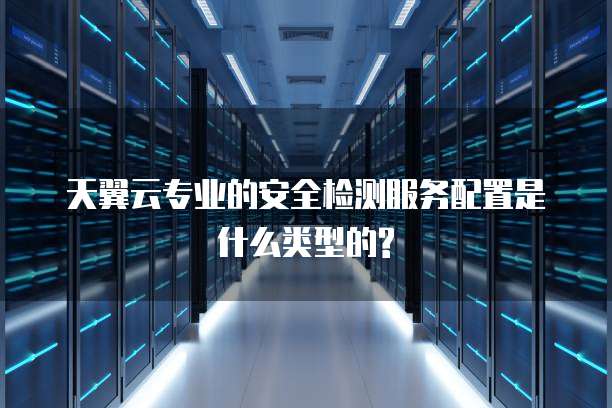 天翼云专业的安全检测服务配置是什么类型的?