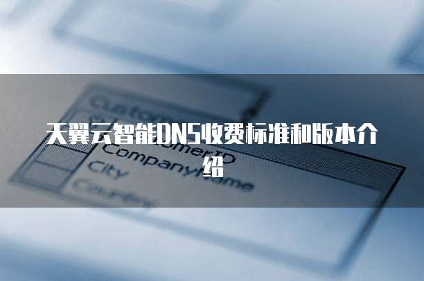 天翼云智能DNS收费标准和版本介绍