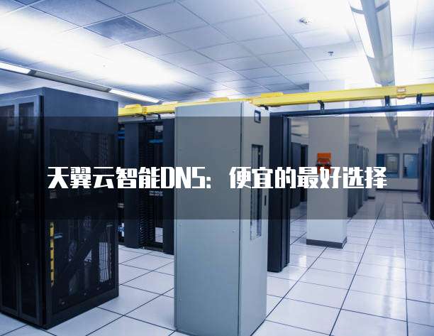 天翼云智能DNS:便宜的最好选择