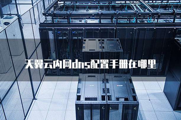 天翼云内网dns配置手册在哪里
