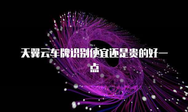 天翼云车牌识别便宜还是贵的好一点