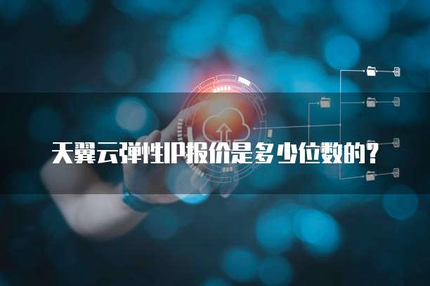 天翼云弹性IP报价是多少位数的？