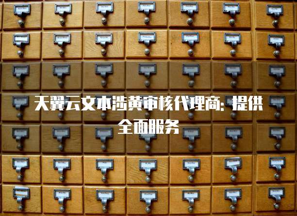 天翼云文本涉黄审核代理商: 提供全面服务