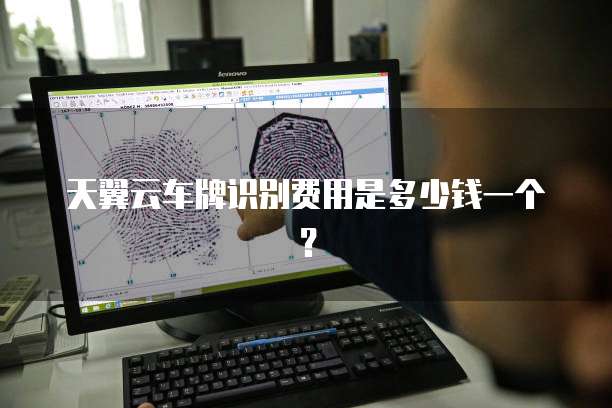 天翼云车牌识别费用是多少钱一个？