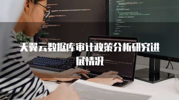 天翼云数据库审计政策分析研究进展情况