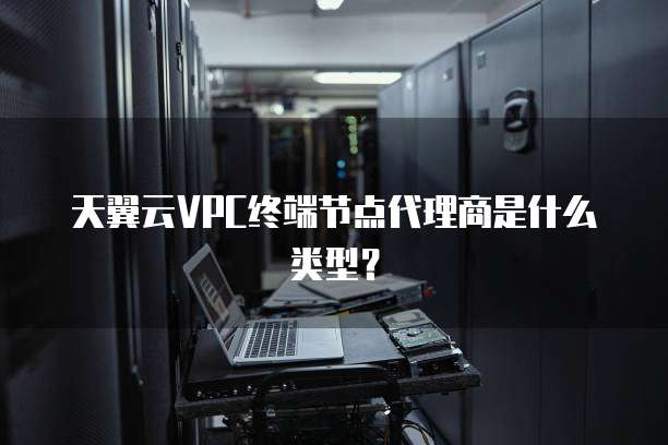 天翼云VPC终端节点代理商是什么类型?